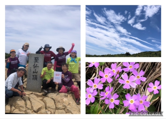 自然観察会（7月）花の尾瀬・至仏山
