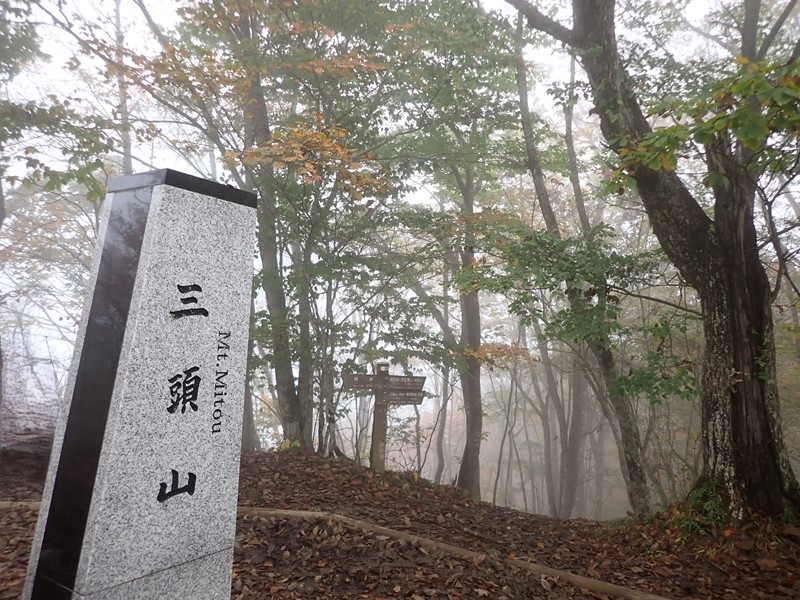 久闊の森 三頭山