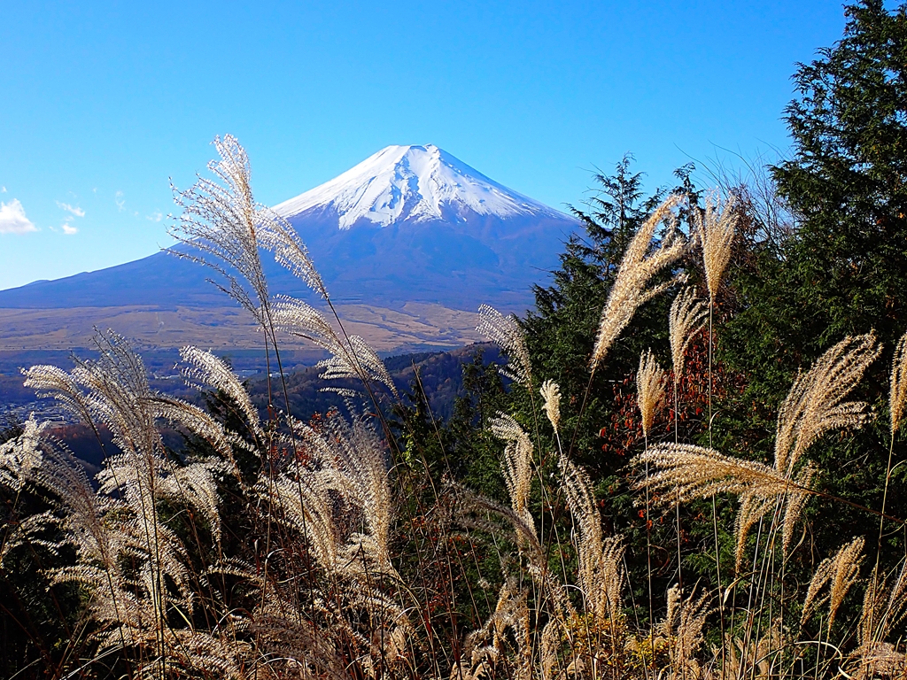 快なり！杓子山