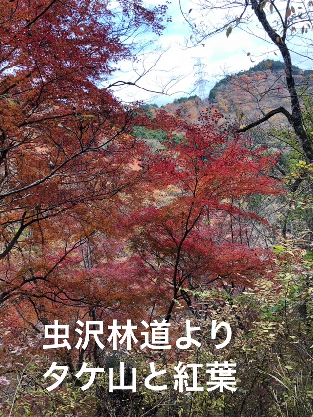 高松山北側周回