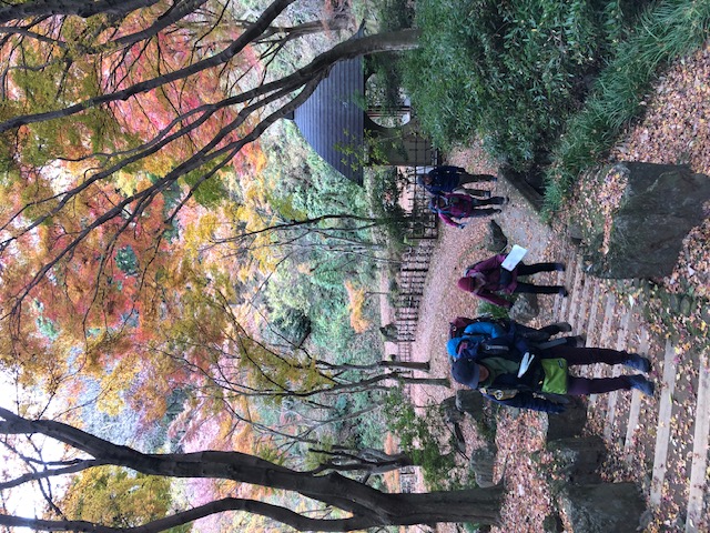 自然観察会（12月）七沢森林公園～白山