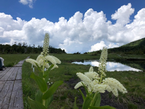 登山教室の様子